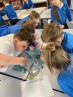Class 1 Science